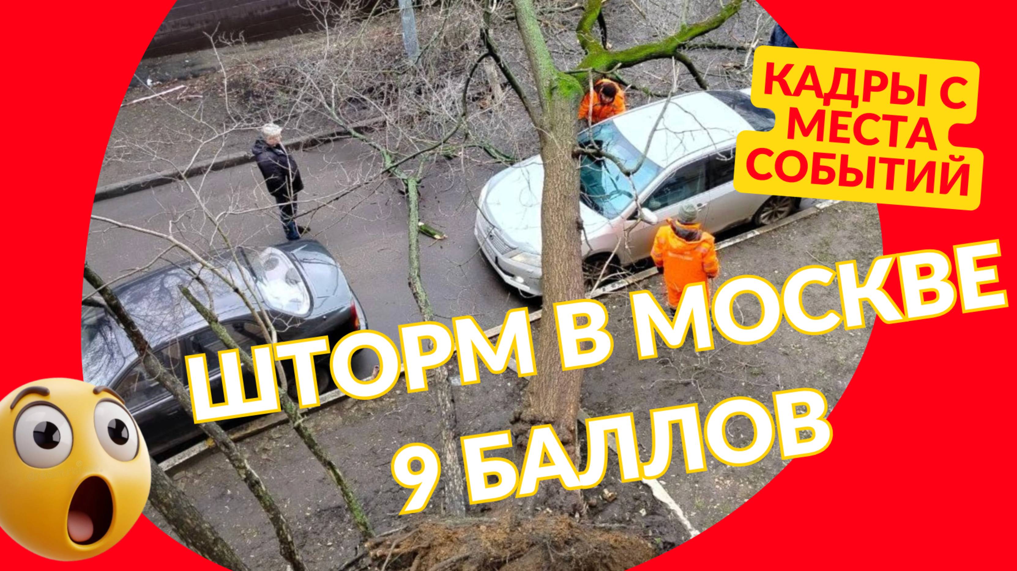 Шторм в Москве 9 баллов: когда закончится и какие последствия?! смотреть онлайн