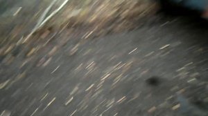 Корчёвка пней и мульчирование поросли. Мульчер seppi multiforst 250 видеообзор