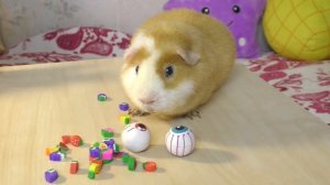 ЧТО В МОЕМ ПЕНАЛЕ? | BACK TO SCHOOL 2018 | собираю пенал в школу | ALISA EASY VLOG