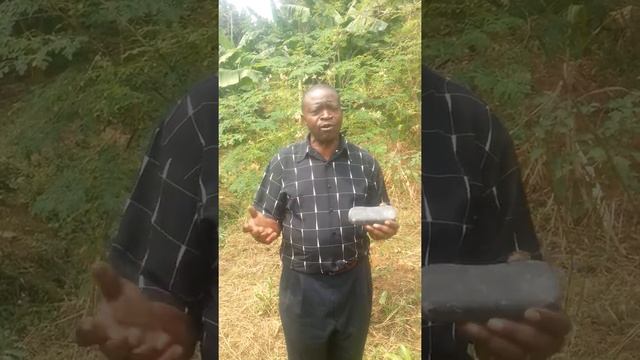 MORINGA THE MIRACLE TREE смотреть онлайн