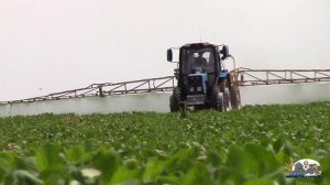 Опрыскиваем сою на тракторе Мтз 952.2