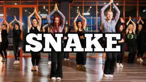 SNAKE - Nora Fatehi & Jason Derulo | Salsation® Хореография Юлии Троцкой и Елены Кукленко