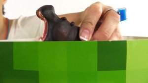 Волшебная Коробка. Животные. - Передача для детей с Машей