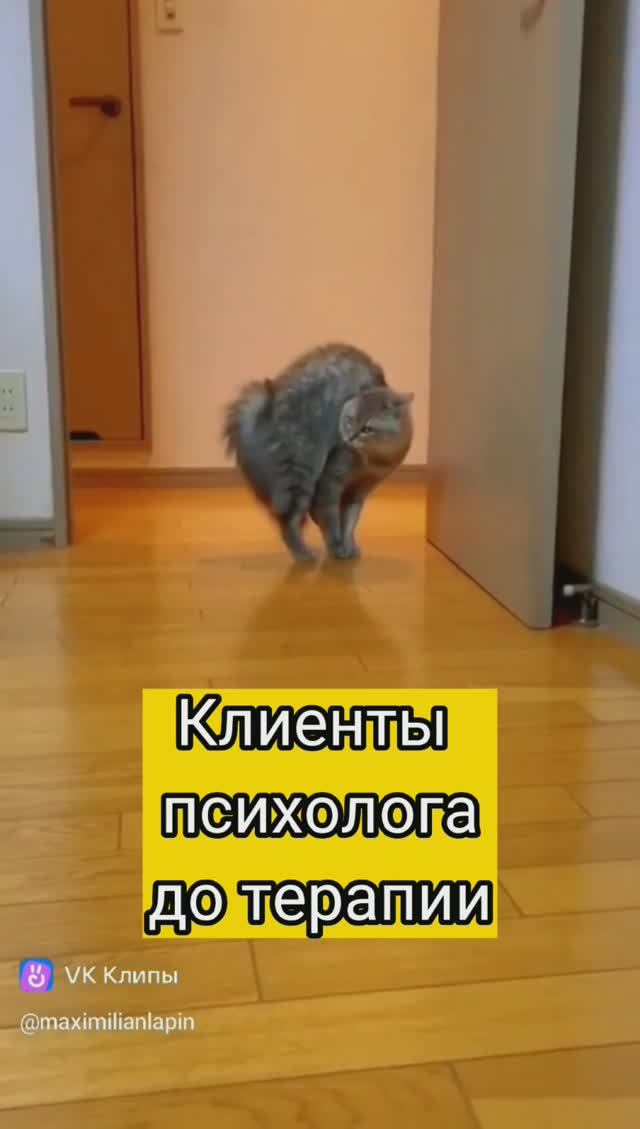Юмор. Клиенты психолога до и после терапии.