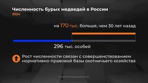 «Россия в цифрах» — графика студии «Меркатор»