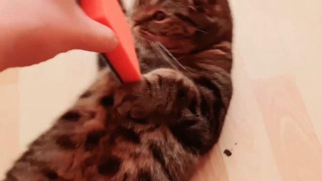 5 Лайфхаков с Губкой для посуды. Губка для посуды за 30 руб, а сколько пользы!!! смотреть онлайн