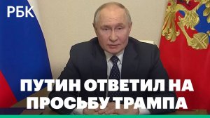 Путин ответил на призыв Трампа пощадить бойцов ВСУ в Курской области