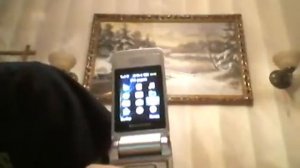 Видео обзор Samsung S3600i