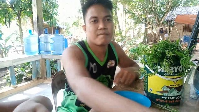 Week 3 Episode: Pako (Diplazium esculentum) with Osaba (Neritina pulligera and Septaria porcellana) смотреть онлайн