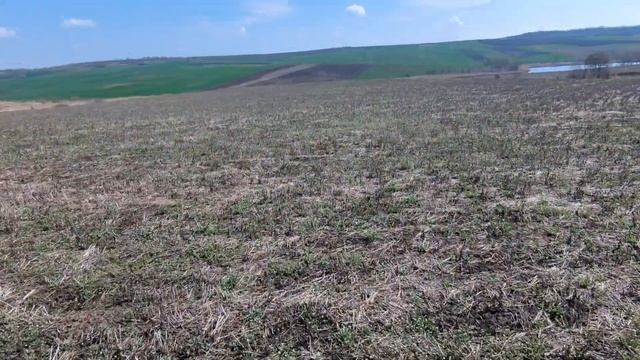 14 квітня 2023 р. Огляд поля пяслі пожнивної сої смотреть онлайн