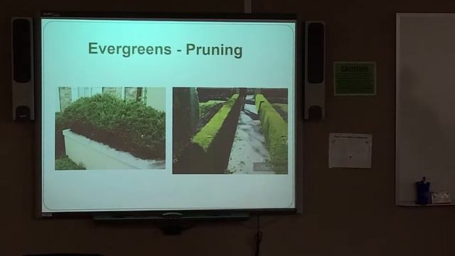 Selecting, Planting & Care of Evergreens - Mercer County Lawn & Garden Talk смотреть онлайн