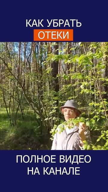 БЕРЁЗОВЫЕ ПОЧКИ – ПРИРОДНЫЙ ЭЛИКСИР ЗДОРОВЬЯ! #shotrs #береза #почки
