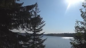 Рыбалка. На дальнем кардоне у Иваныча, сделали дело...! часть1