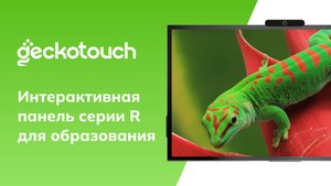 Geckotouch Interactive серии R для образования