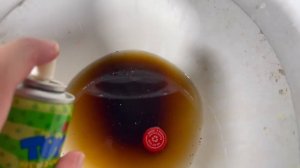 Will it Flush? - Coca Cola, Fanta, Sprite, Mirinda Balloons, Plastic Balls, M&M's, Cookies, Candy