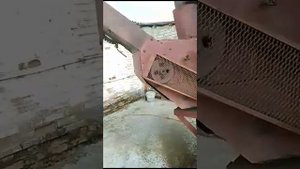 Зернометатель самопередвижной ЗМ-100