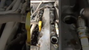 В свечном стакане масло, причина- сальники свечных колодцев пропускают масло из под клапанной крышк