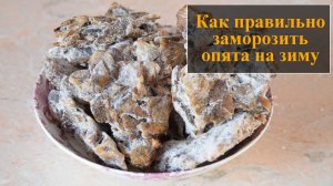 Как замораживать опята в домашних условиях