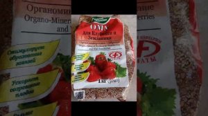 Посадка клубники на Урале