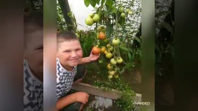 Игонтов Денис 2 В класс, Каникулы 2020#КаникулыСПользой