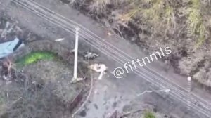 🔴Самым резвым хряком оказался, тяжёлый 300, с носилок, чудесным образом исцелившийся😆🔴