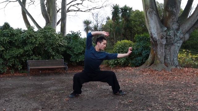 Kung Fu Tiger Style Tutorial смотреть онлайн