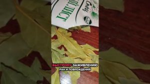 Лавровый лист чем полезен, чем опасен, с чем едят, и что то там ещё