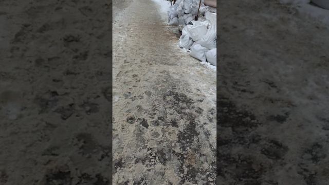 28 февраля 2025 г., 14:23:08
ул. Газеты Звезда
VID_20250228_141958100
