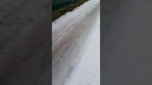 VID_20250302_143408.mp4