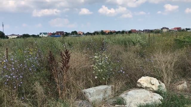 Земля в пос. Витязево - ИДЕАЛЬНО ДЛЯ ПОСТРОЙКИ ДОМА! Пока еще НЕДОРОГО! #260 смотреть онлайн