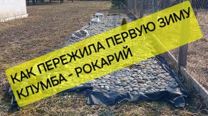 Недоделанная клумба - рокарий пережила зиму и ждет окончания работ, чтобы стать изюминкой участка