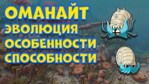 ОМАНАЙТ. ЭВОЛЮЦИЯ, ОСОБЕННОСТИ, СПОСОБНОСТИ