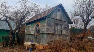 Эпизод 1. Долгожданная дача! Уборка мусора и будущие планы.