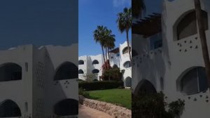 Обзор отеля Domina Coral Bay от моих любимых туристов