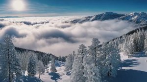 только 1 ЧЕЛОВЕК ИЗ 100 способен ВЕРНО ОТВЕТИТЬ хотя бы на 15 вопросов. Тест на кругозор #тесты 12