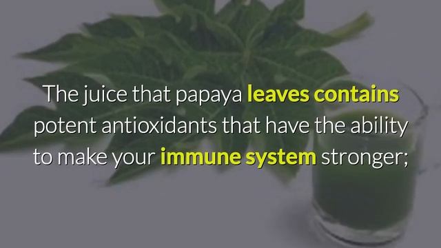 Top Papaya Leaves Juice Benefits