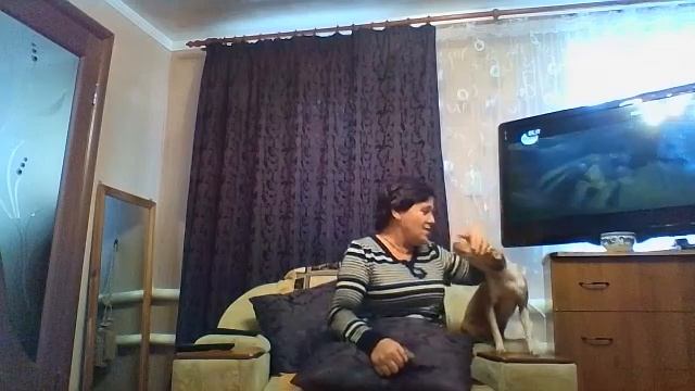 Поёт Чарлик!)) смотреть онлайн