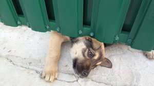 Две новенькие малышки. Коротко о разном.