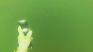 Подводная охота. Река Воронеж, и Воронежское водохранилище.