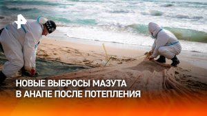 Мазут начал всплывать со дна Черного моря после потепления в Анапе / РЕН Новости