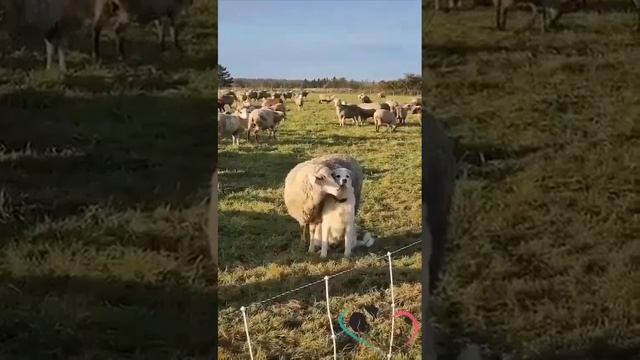 ты, да я, да мы с тобой! Дружба!