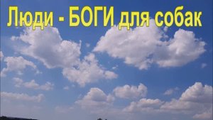 Сила ДУХА бьет силу ТЕЛА и у собак. Рассказ