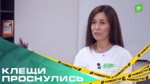 В регионе проснулись клещи. Южноуральцам рассказали, когда нужно начать вакцинацию