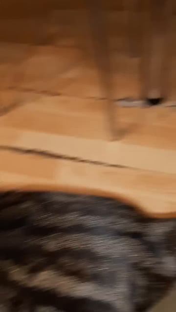 А у Вас вхолдильнике мышь??? смотреть онлайн