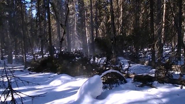 Легендарный советский трелевочник ТДТ-40. Эпизод 2