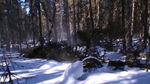 Легендарный советский трелевочник ТДТ-40. Эпизод 2