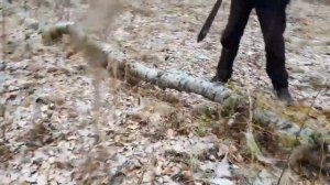 Тест Тесака Григория Соколова