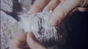 Фитиль №069 (1968 год)