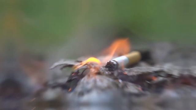 МЧС О ПОЖАРАХ В ЛЕСУ смотреть онлайн