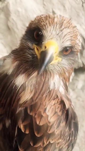 January 19, 2023 смотреть онлайн